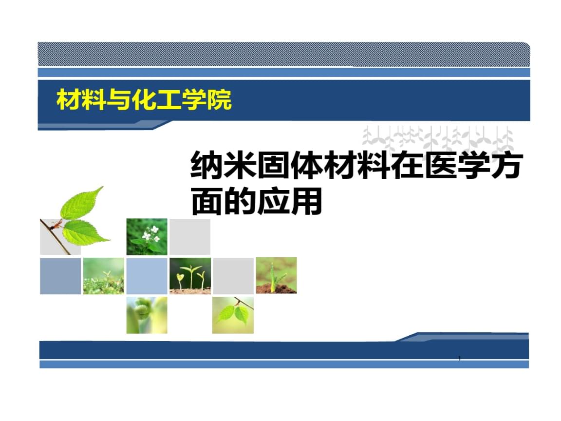 纳米固体材料在医学上应用.ppt 14页